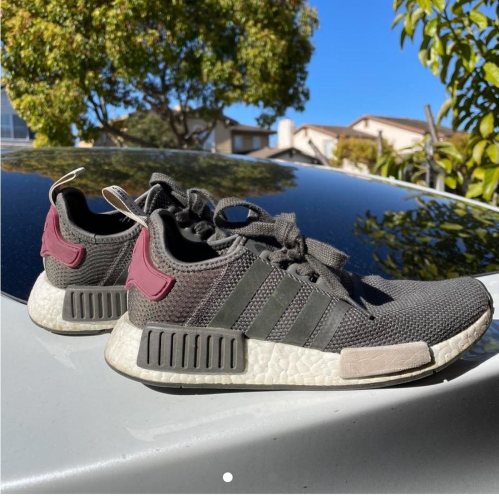 NMDS